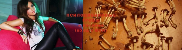не бодяженный Алексеевка