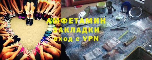 стаф Алзамай