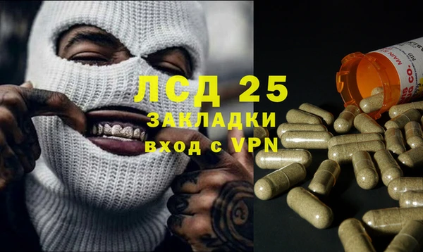 гашик Новокубанск