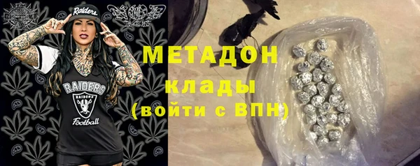стаф Алзамай