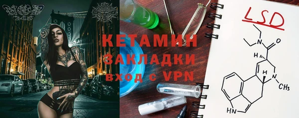 ПСИЛОЦИБИНОВЫЕ ГРИБЫ Новозыбков