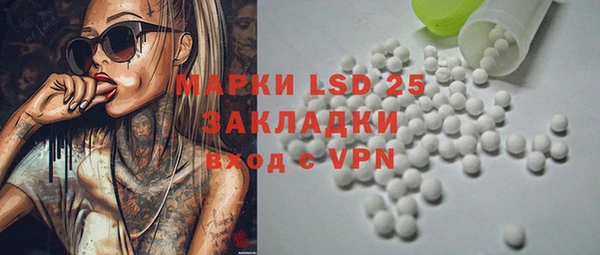 ПСИЛОЦИБИНОВЫЕ ГРИБЫ Новозыбков